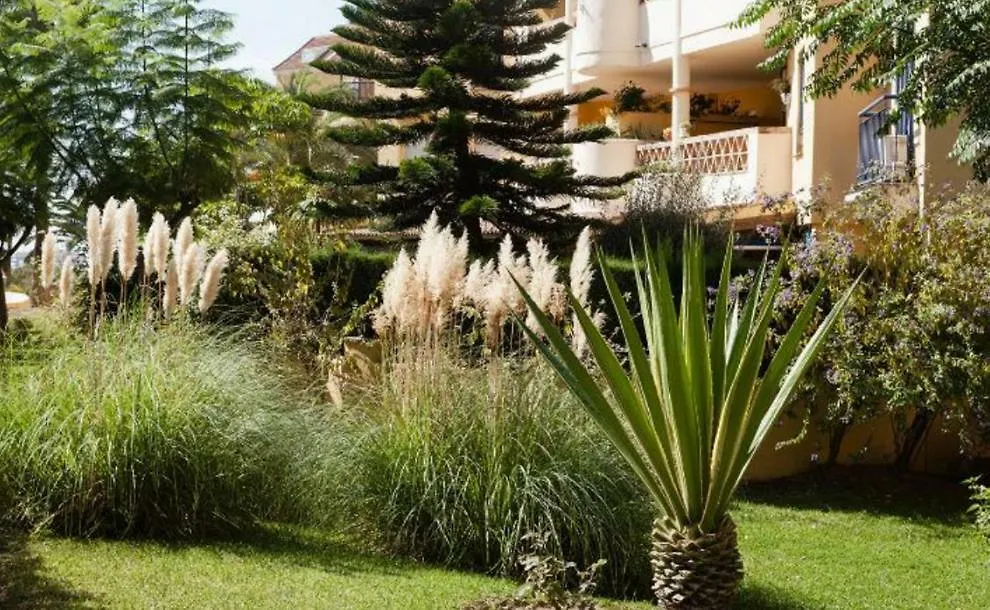 דירות בנאלמדנה Parque De La Paloma